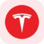 rTSLA图标
